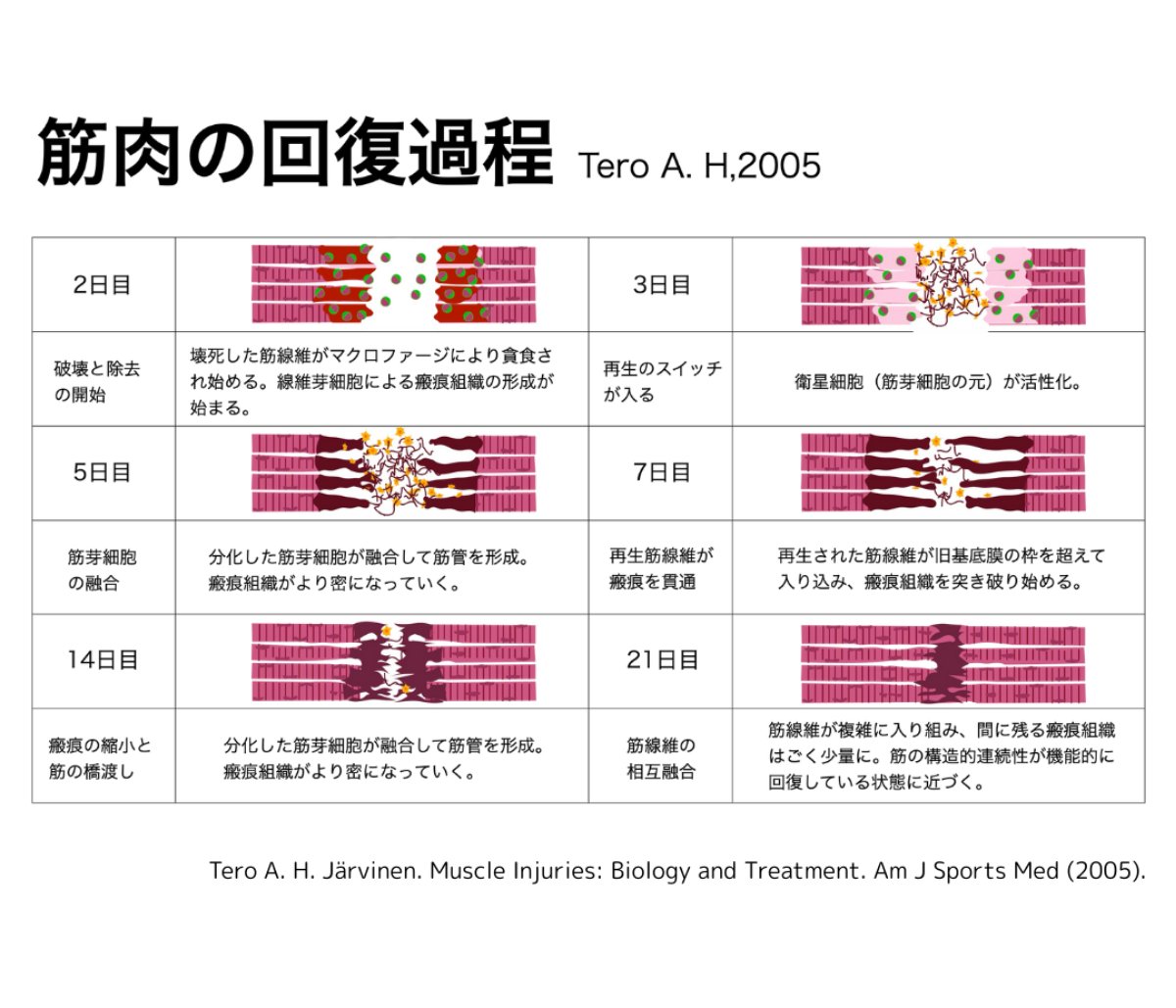 pttiger0228 tweet picture