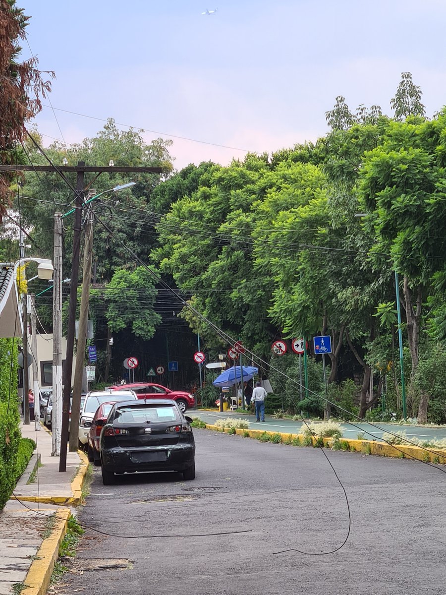 caohersa's tweet photo. Buenas tardes, hay unos cables caídos en la calle de Ferrocarril de Cuerda Cuernavaca entre Presa y Héroes de Padierna, los cuales son un peligro para transeúntes y vehículos. 
@ALaMagdalenaC https://t.co/rL2bfXKEMd