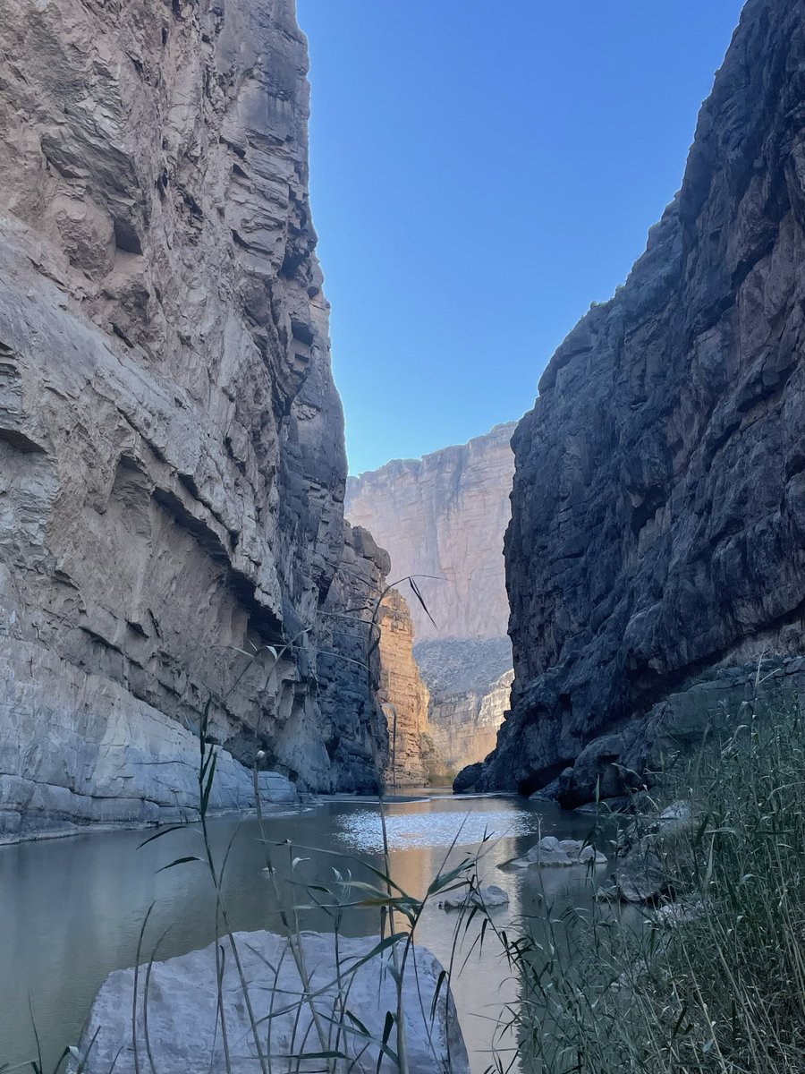 tayloraprewitt's tweet photo. Thinking about bulldozers ripping through one of the most peaceful, silent places I’ve visited. https://t.co/QBcDmZolCc https://t.co/Yrh5dESFRZ