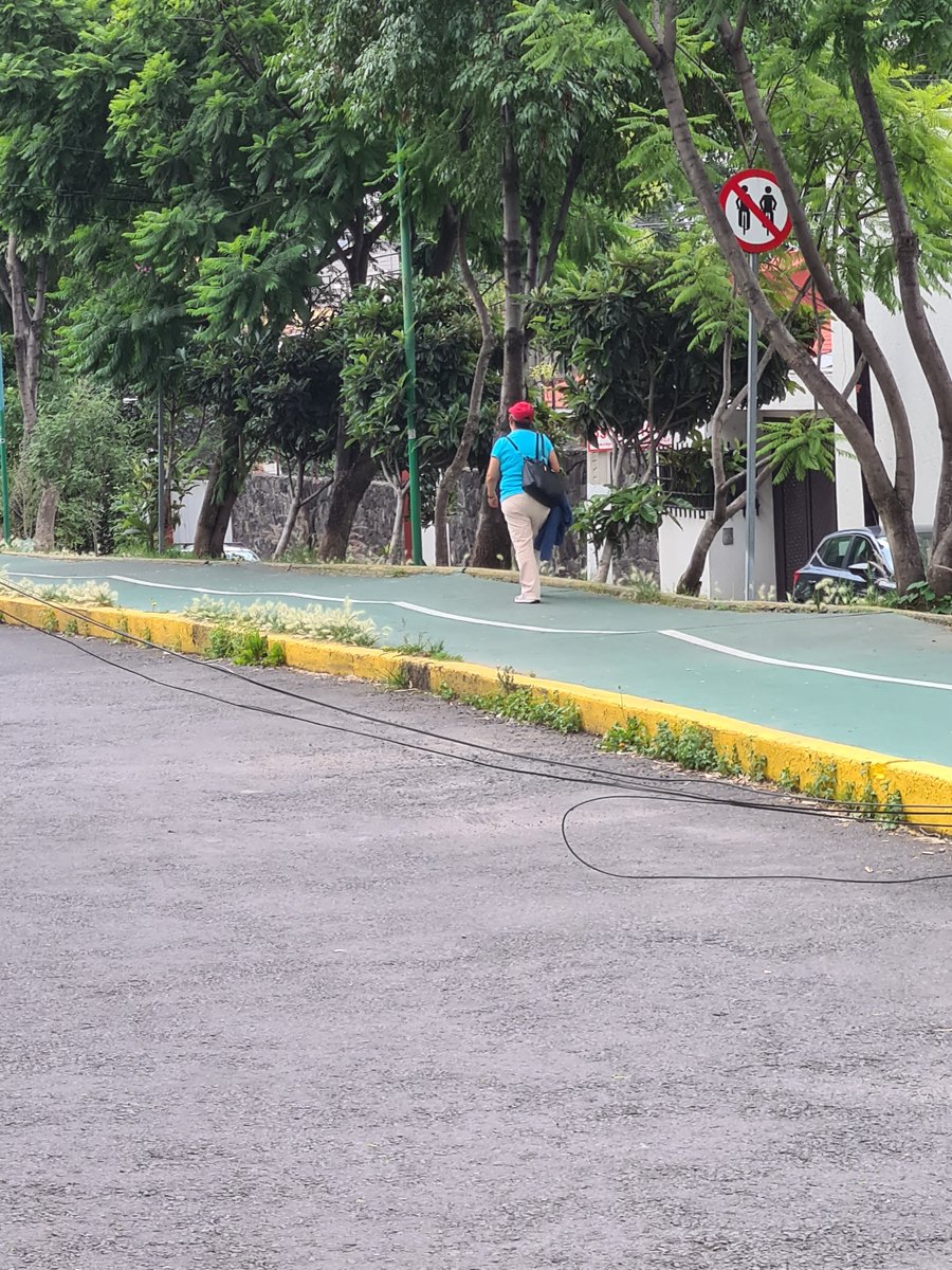 caohersa's tweet photo. Hola, hay unos cables tirados en la calle de Ferrocarril de Cuernavaca entre Presa y Héroes de Padierna, los cuales son un riesgo para transeúntes y automóviles 
@cdmx_pc https://t.co/cQ19oUWgUu