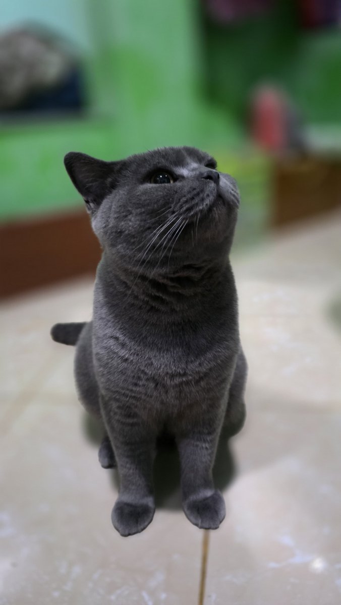 naellysraw's tweet photo. Adek jgn cepet gede yah😩 https://t.co/lwxNAzkunW