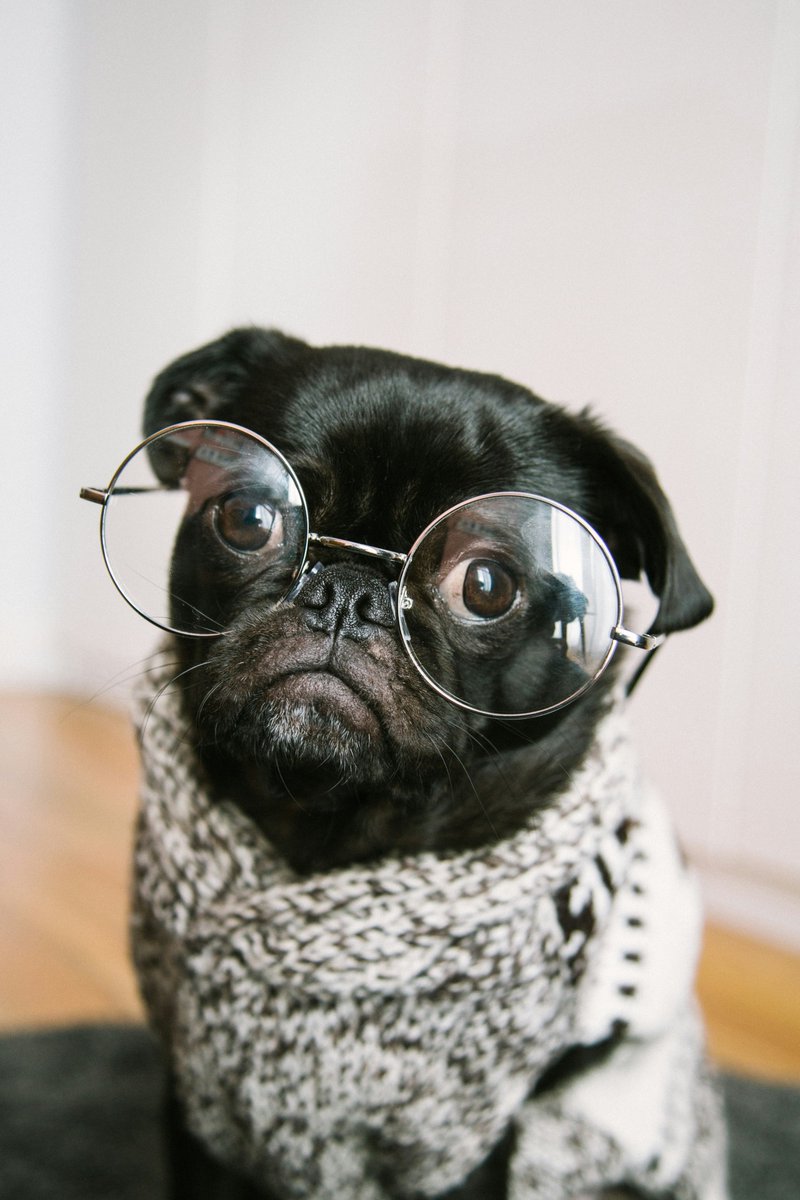 cfenlightenment tweet picture