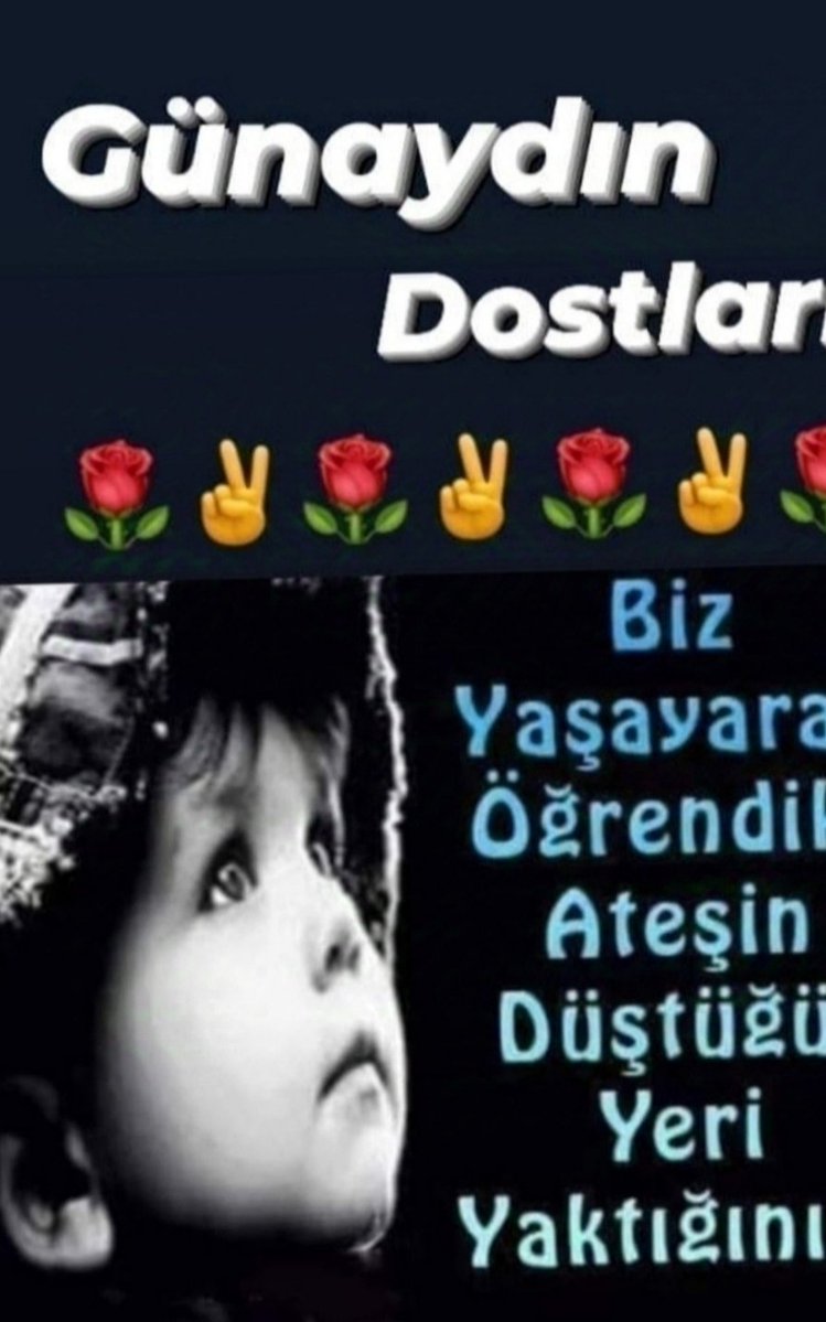 salihhoca_'s tweet photo. Yurdumun Yüreği Solda Atan Güzel İnsanları Merhabalar 🥀 https://t.co/TfBickpF0b
