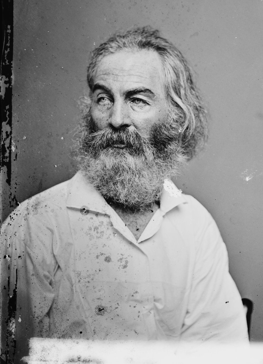 HermannHessed's tweet photo. “Do I contradict myself? Very well then I contradict myself, (I am large, I contain multitudes.)” 

— Walt Whitman https://t.co/wYtMHXlTBw