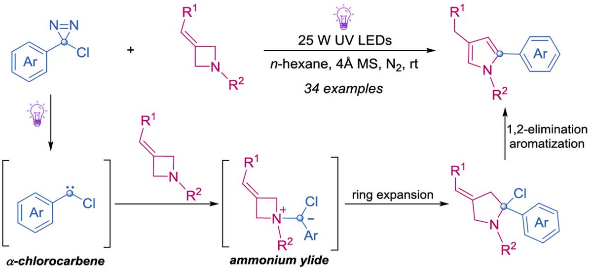 yxxwqhts_coys's tweet photo. Concise Report

UV-Light-Induced Ring Expansion of Chlorodiazirines with 3-Alkylideneazetidines towards Pyrroles

https://t.co/Mw8IjeVmr8

CJC (IF 5.7) editorial board is seeking global chemists. Contact me to join us!

#CJC #Chemistry #Organic #ChemTwitter #OrgChem https://t.co/CL4fUOVObp