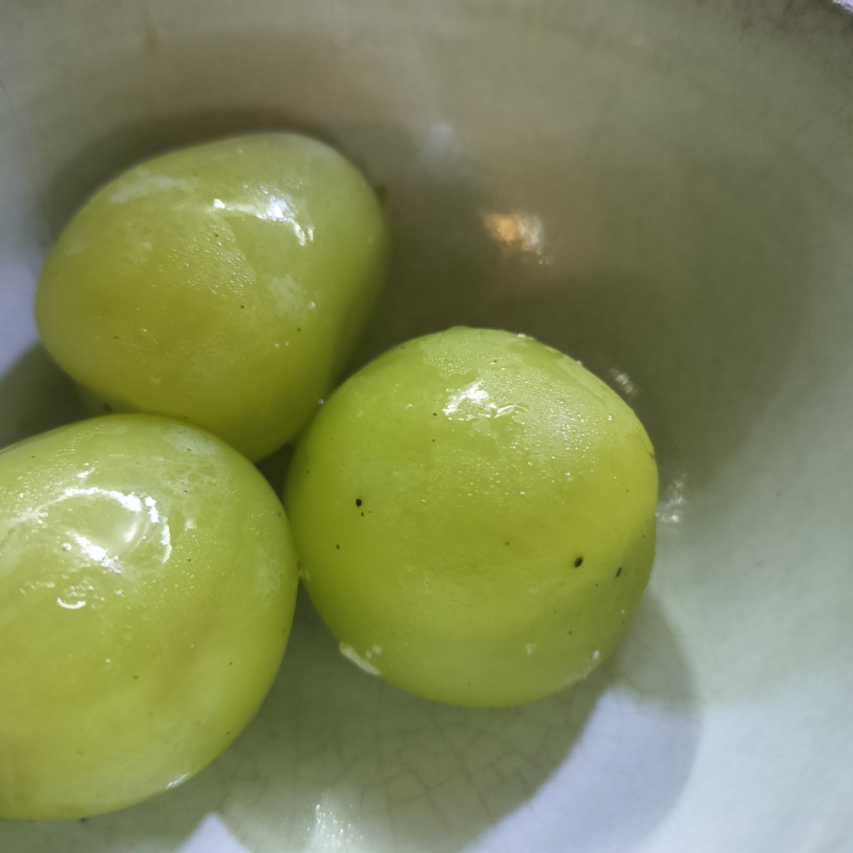 BATTLE_BOOTS's tweet photo. 暑さのせいか今年のシャインマスカットあんまり甘くないな🍇
ナガノパープルに期待✨️ https://t.co/LyYVUDGyvC