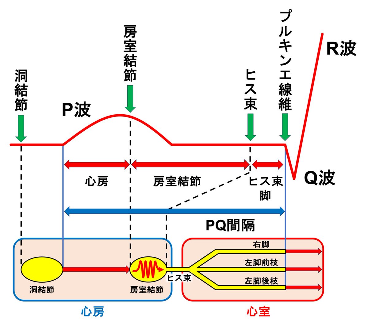 sindenzu1's tweet photo. PQ間隔 https://t.co/RSz1ym7MeF