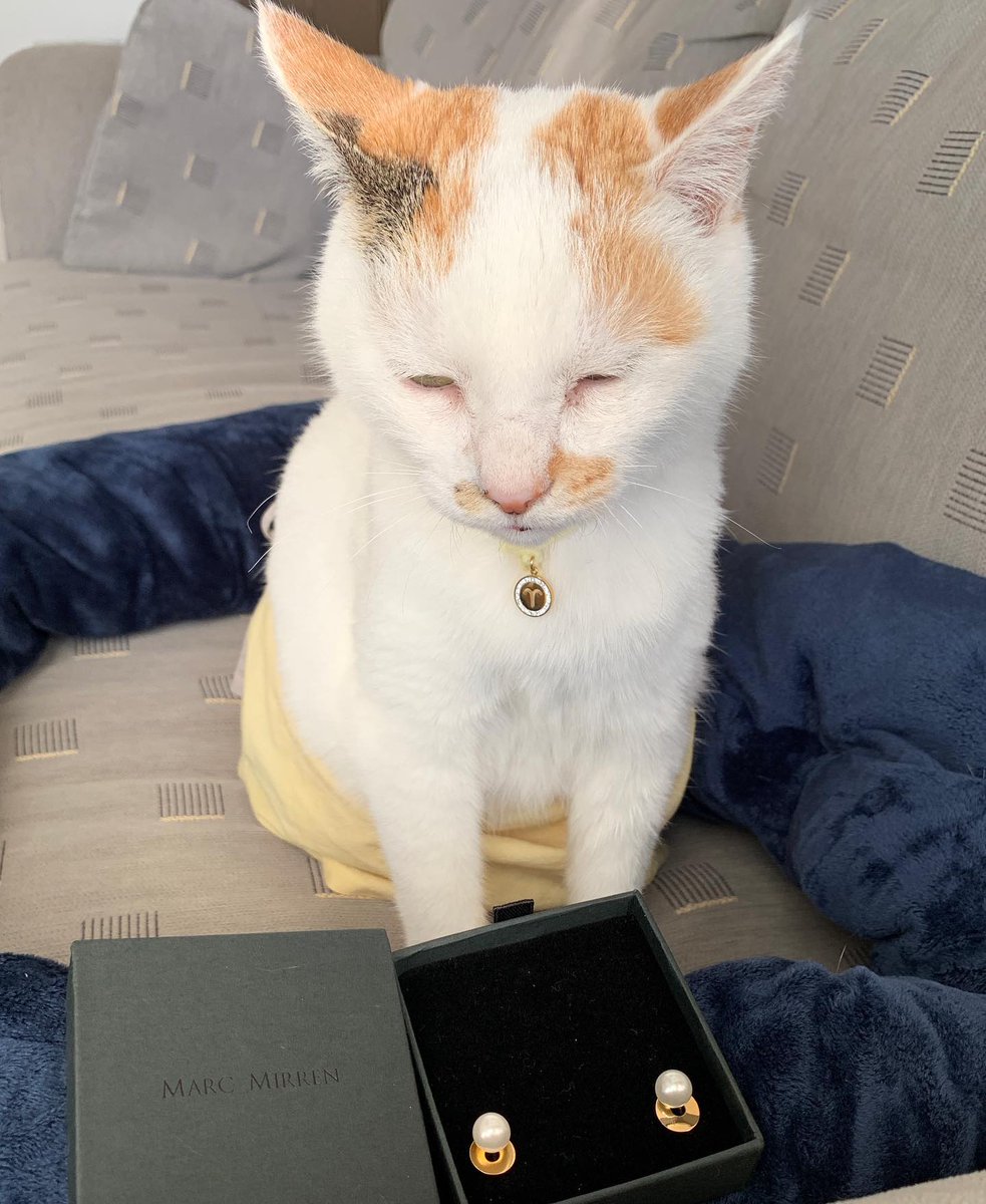 JamaSummar38's tweet photo. 手元に届いた箱を開ける前、一瞬だけ時間が止まったような感覚になる。この小さな緊張感こそが、日常のささやかな楽しみかもしれない。 https://t.co/PaZMbKcZCA