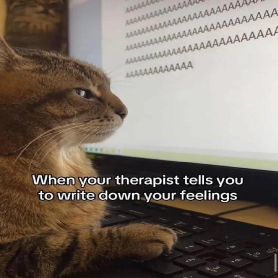 literallymecats's tweet photo. https://t.co/nSdP8s3gJZ