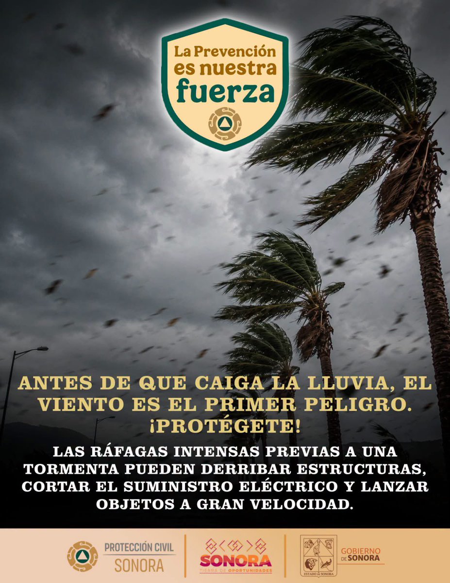 cepcsonora's tweet photo. Si se acerca una tormenta y hay fuertes vientos, toma tus precauciones.

Busca un refugio seguro y espera a que pase la tormenta.

Por su Integridad y la de su Familia, Todos Somos Protección Civil. https://t.co/5t9ZxTs2mS