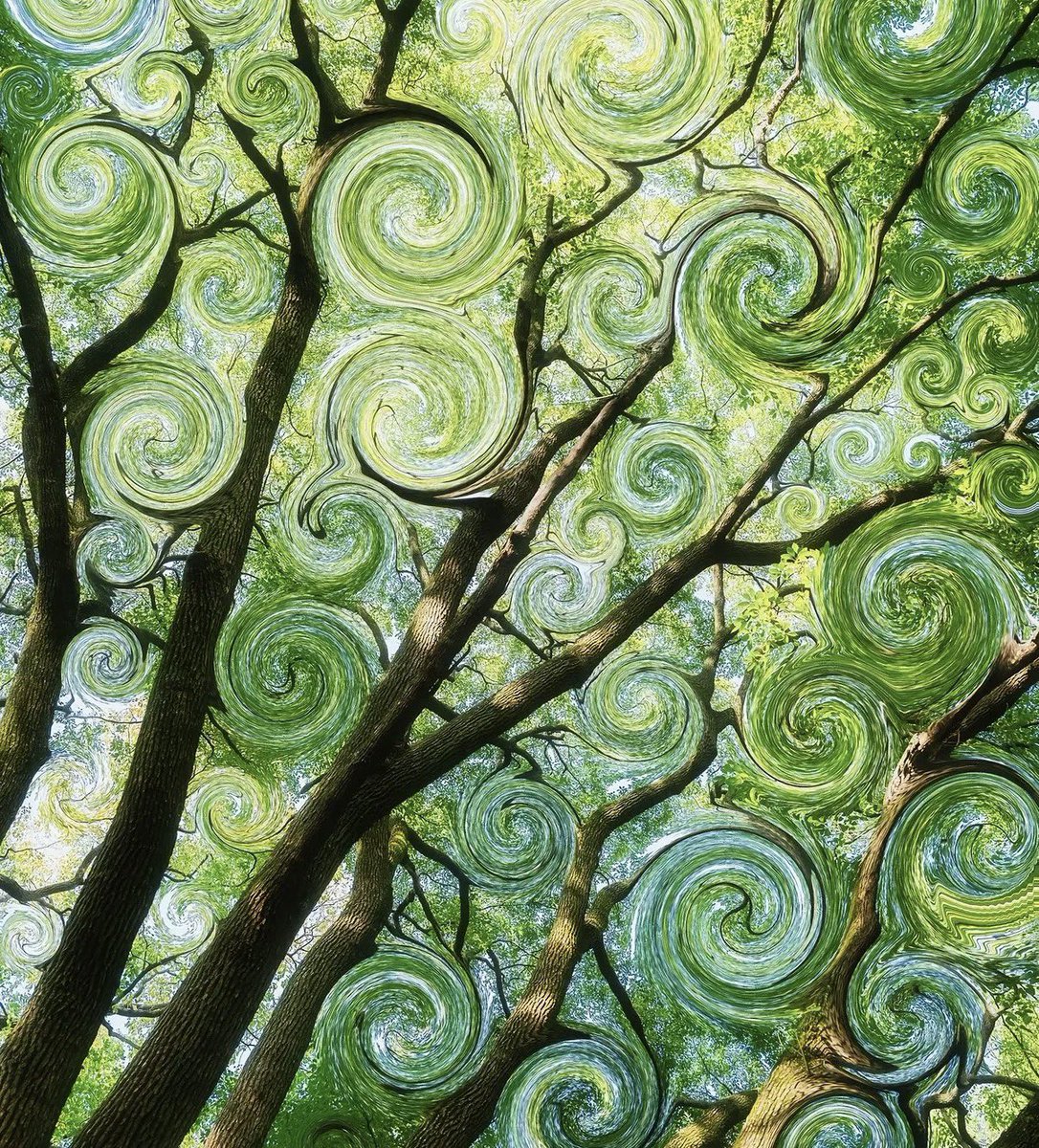 naturehealyou's tweet photo. when nature meets art https://t.co/w0HUKGUQmP