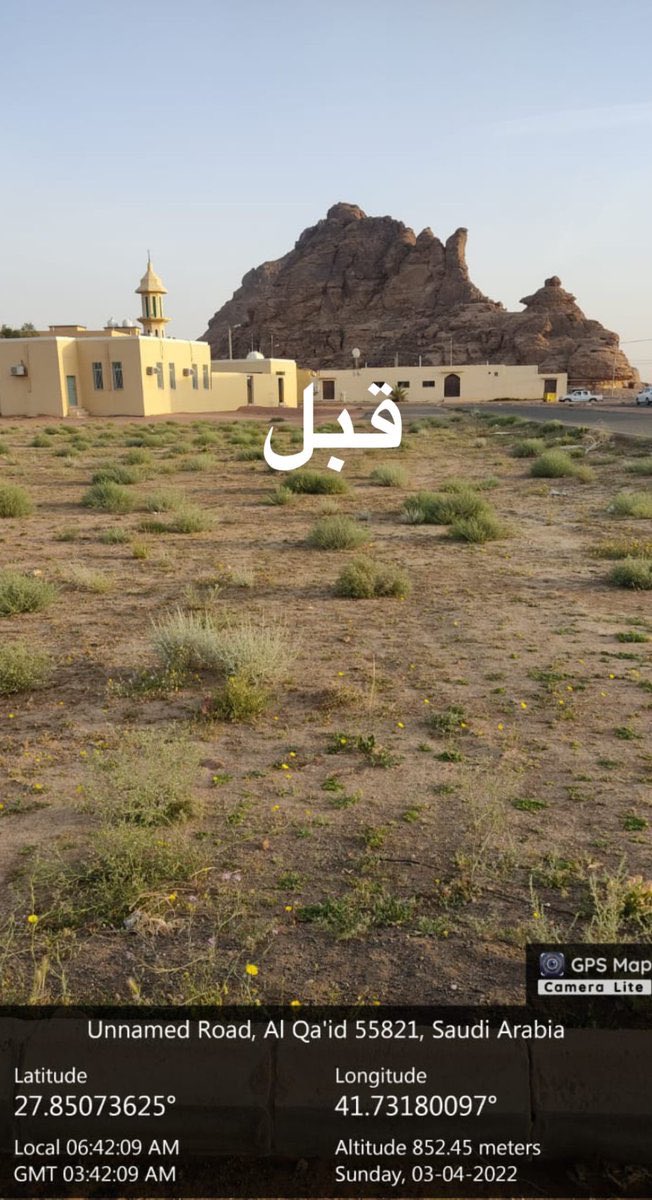 first_1ine's tweet photo. 🌅 يبدو أنه عندهم بند لمكافحة اللون الأخضر🌳. https://t.co/O5GB84fD9N