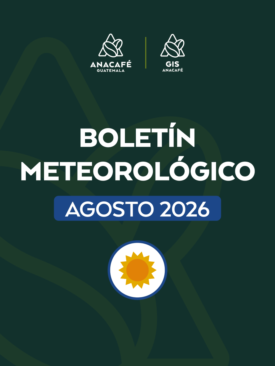 CafedeGuatemala's tweet photo. 🌤️☕ Boletín Meteorológico | Agosto 2026
Según INSIVUMEH, agosto se caracteriza por el período de la canícula en el territorio nacional, con una disminución de las lluvias y un aumento de las temperaturas dentro de la época lluviosa.

Más información: 
https://t.co/2tk1h2oOqf https://t.co/66boIagM8c