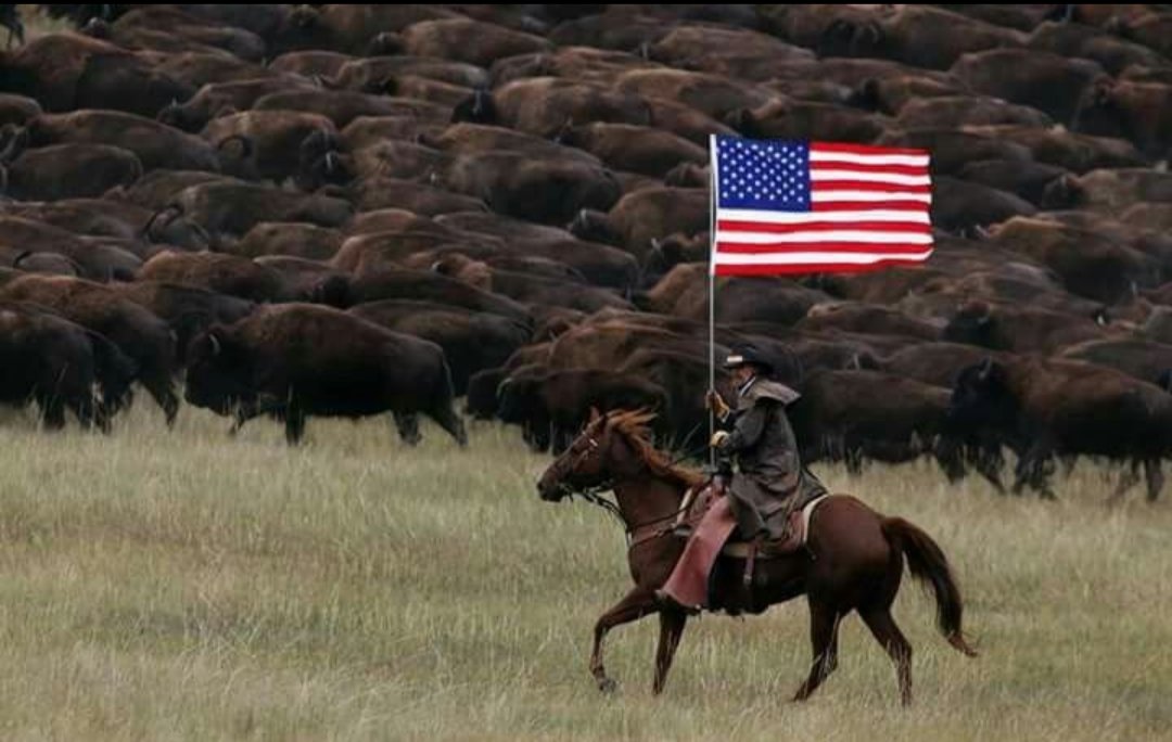 murmaiderXD's tweet photo. I pledge allegiance, to the flag,

Of the United States of America

And to the republic, for which it stands 

One nation, under god, indivisible,

With liberty and justice for all https://t.co/qsl53QBPsy
