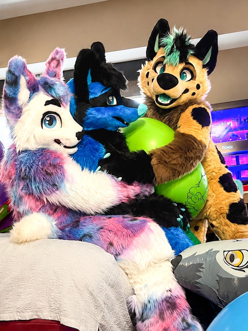 DerechoYeen's tweet photo. One balloon 🎈 
Two fuzzies 🐾 
…no problem 😈 💪 https://t.co/dkKIpkRer7