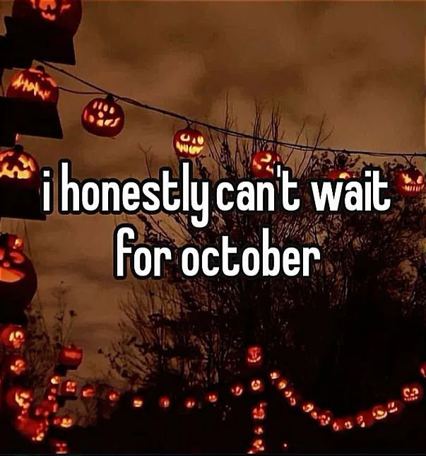 spookyxxboobs's tweet photo. best time of the year https://t.co/QSC7osrAds