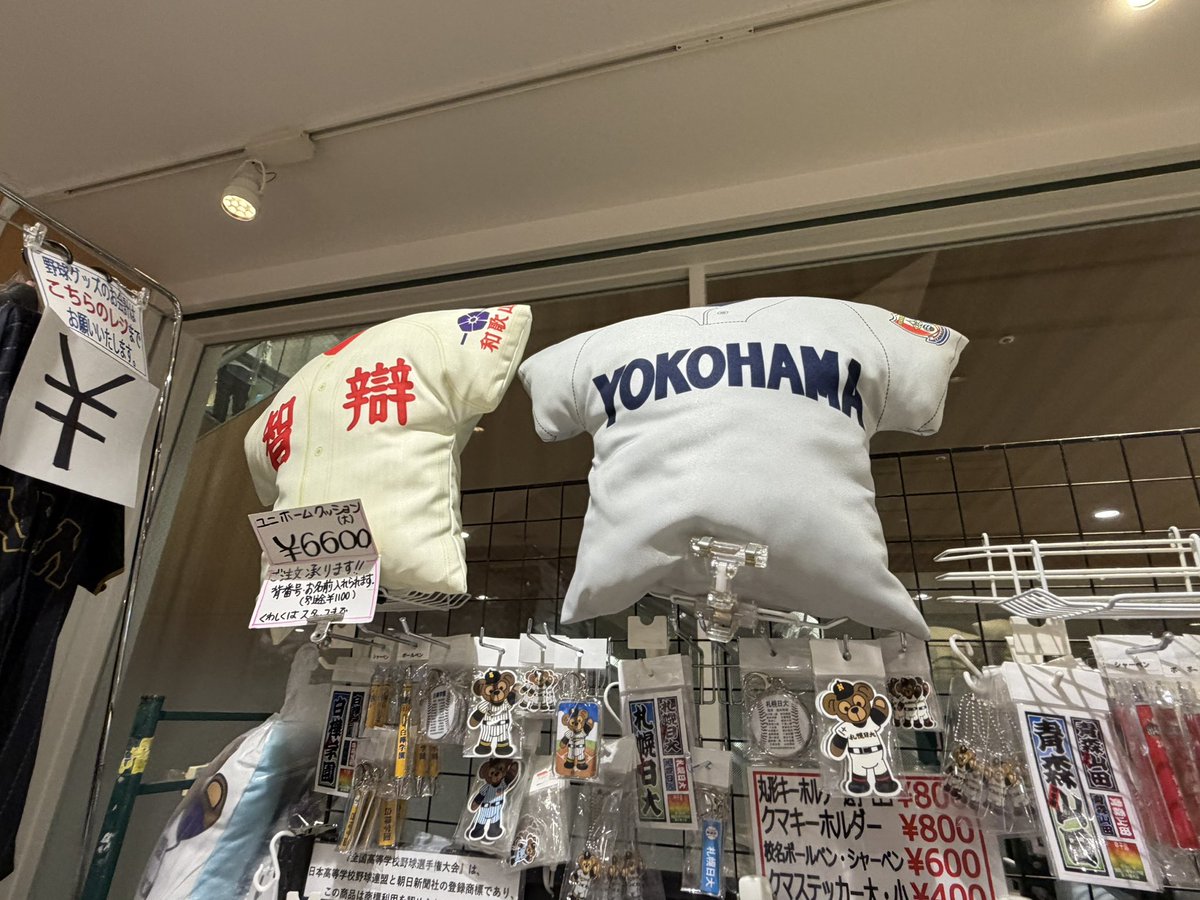 yokokogijyuku's tweet photo. 甲子園近くのイオン、在庫があるからなのか、慶應とか東海大相模のクッション売ってるの面白い
もちろん横浜もある笑
イオンに認められた神奈川🔥 https://t.co/J1p7mBtErt