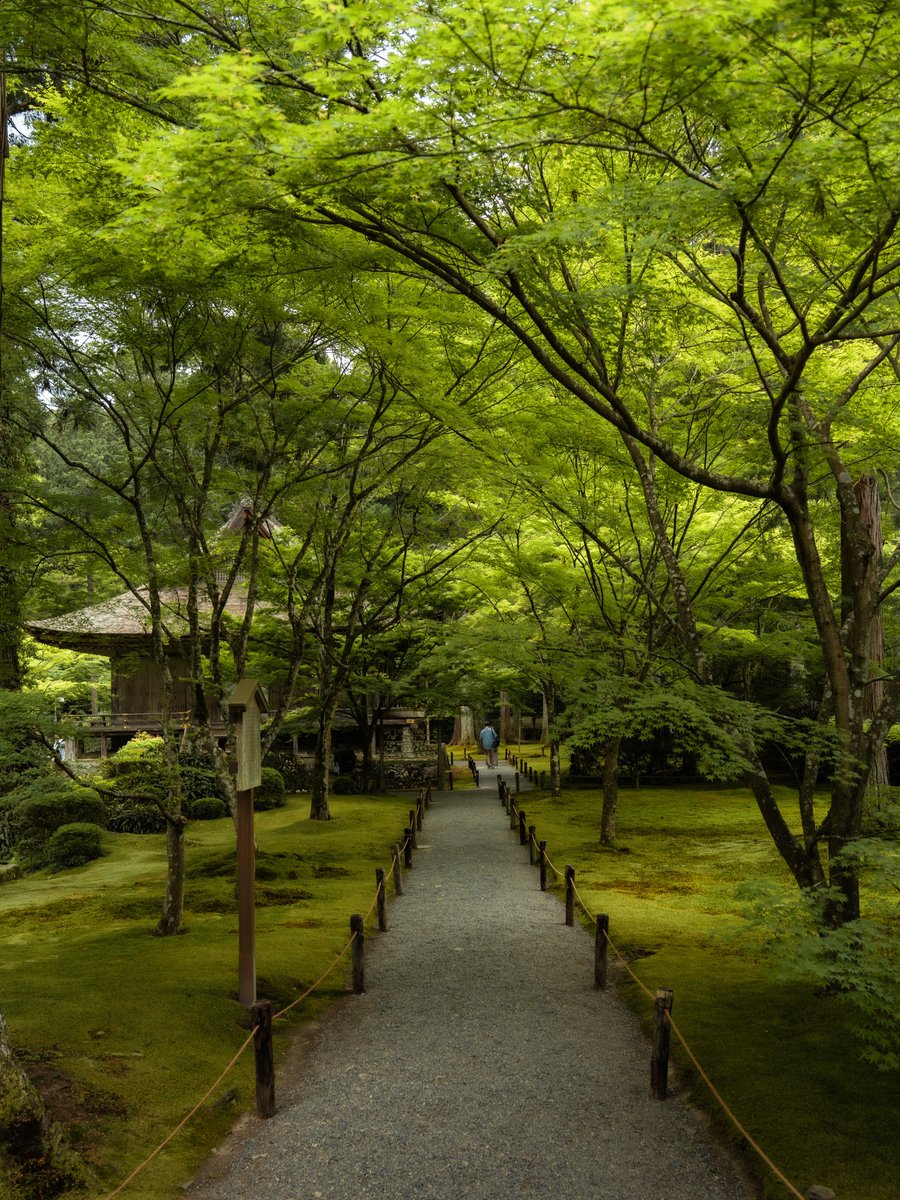 echoesofworld tweet picture