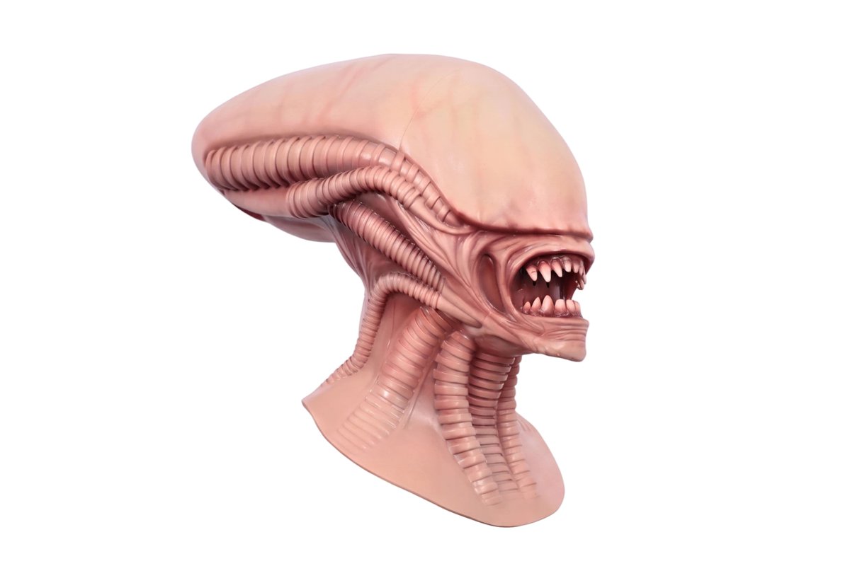 Smitizen's tweet photo. 🌠 What lies beyond the limits of human appearance?
https://t.co/jxO7bzuVqn
#Xenomorph #AlienCosplay #SciFiHorror #AlienMask #DarkAesthetic https://t.co/j3NzISDKQt
