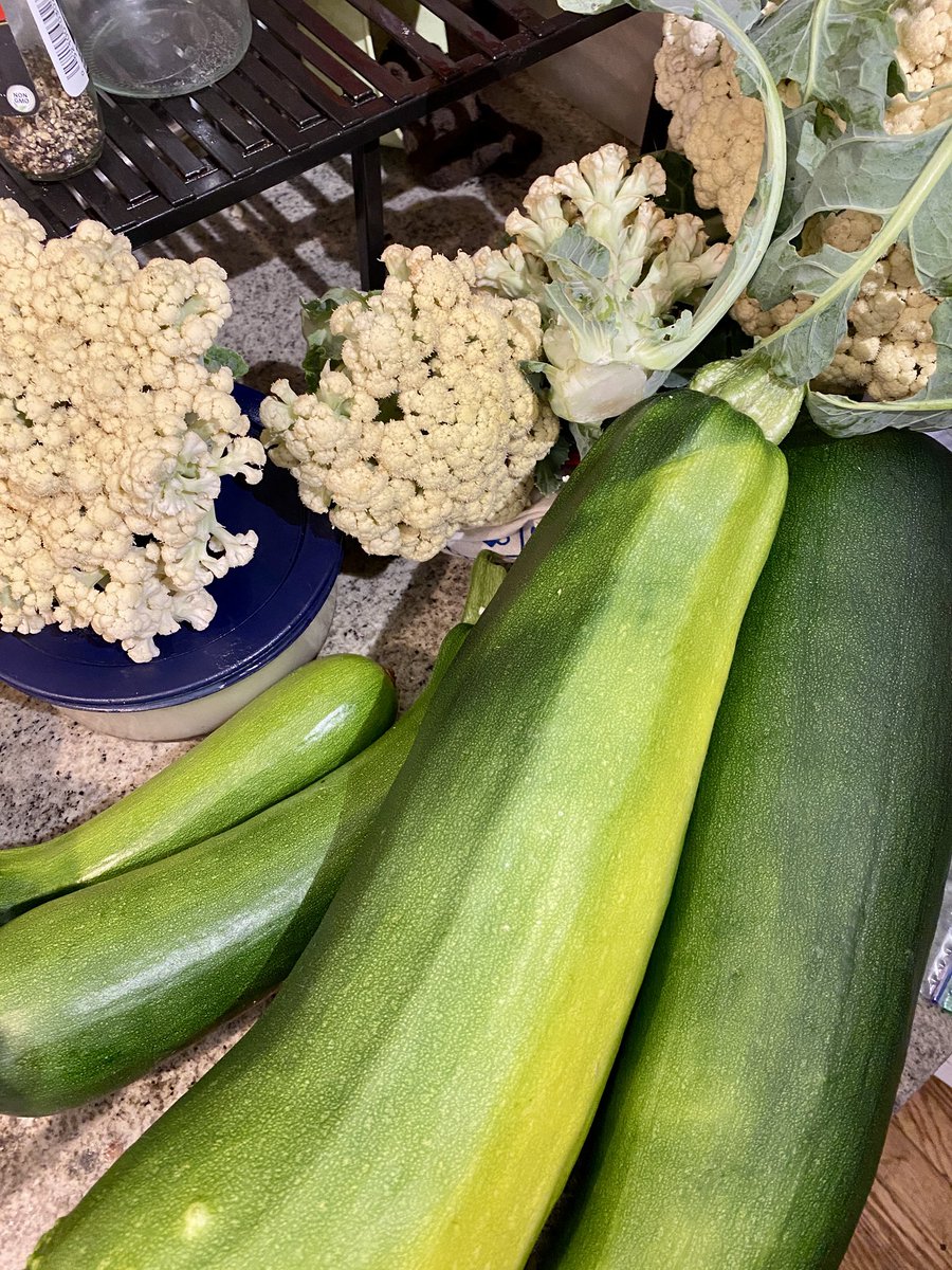 toddasmus's tweet photo. Can’t keep up with the garden this time of year, despite not having any significant rain in weeks. https://t.co/Qa1um57CBt