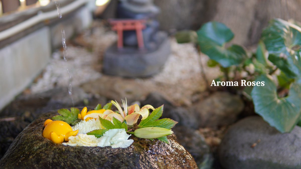 aromaroses01's tweet photo. 花手水　指先濡らし　恋涼し https://t.co/GDUPnCtY51