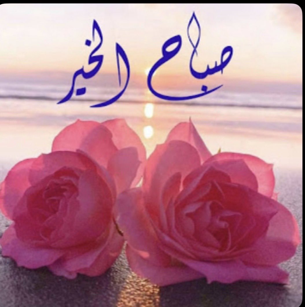 mq12234's tweet photo. للورد  أنفاس تداعب  سما  الأحباب
وللغيم روح تروي الروح من مطرها

               👇🏻👇🏻👇🏻👇🏻👇🏻👇🏻👇🏻 https://t.co/k3opDMA6Fm