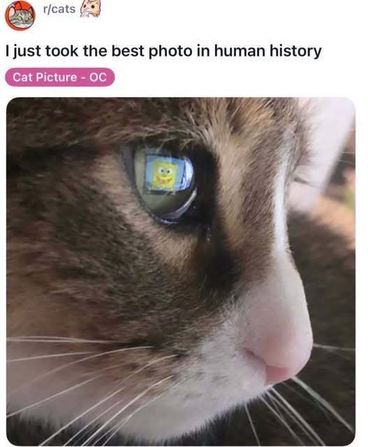 nocontextmemes's tweet photo. https://t.co/O9gd70vVYU