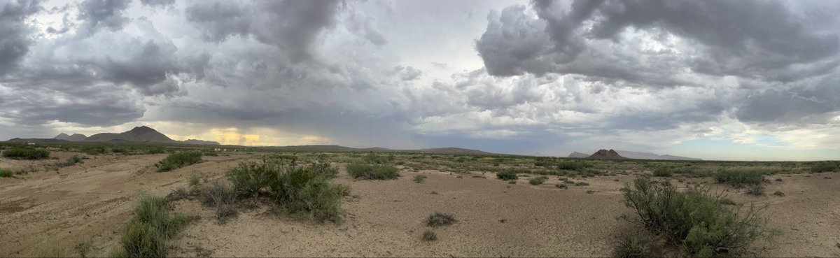 brad_dwight's tweet photo. Dust storm developing along FM118 North of Terlingua Ranch #txwx #mafwx @NWSMidland https://t.co/7PYwcXIwrB
