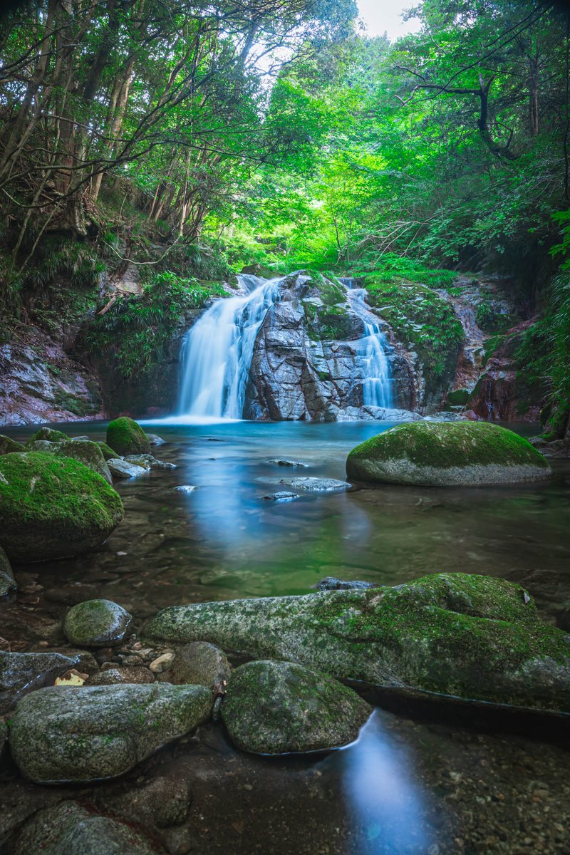 yoshito_photo1's tweet photo. 水辺で涼んでいきませんか https://t.co/zSIhFoL9Pp