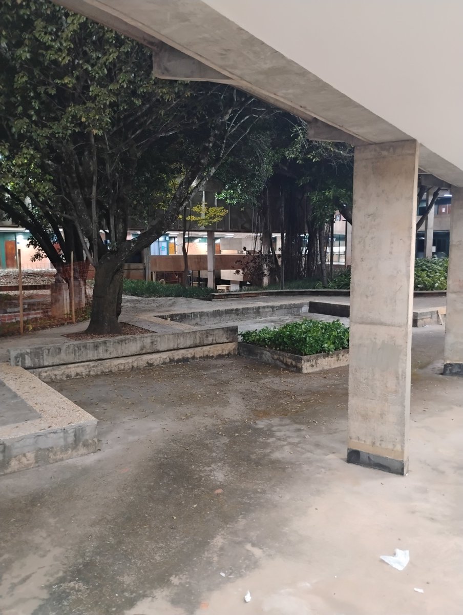 moreno_desono's tweet photo. pela volta dos hh (happy hour) no pátio da faculdade de direito !!! não podemos deixar um lugar desse vazio assim https://t.co/3rNQZ9nBYc