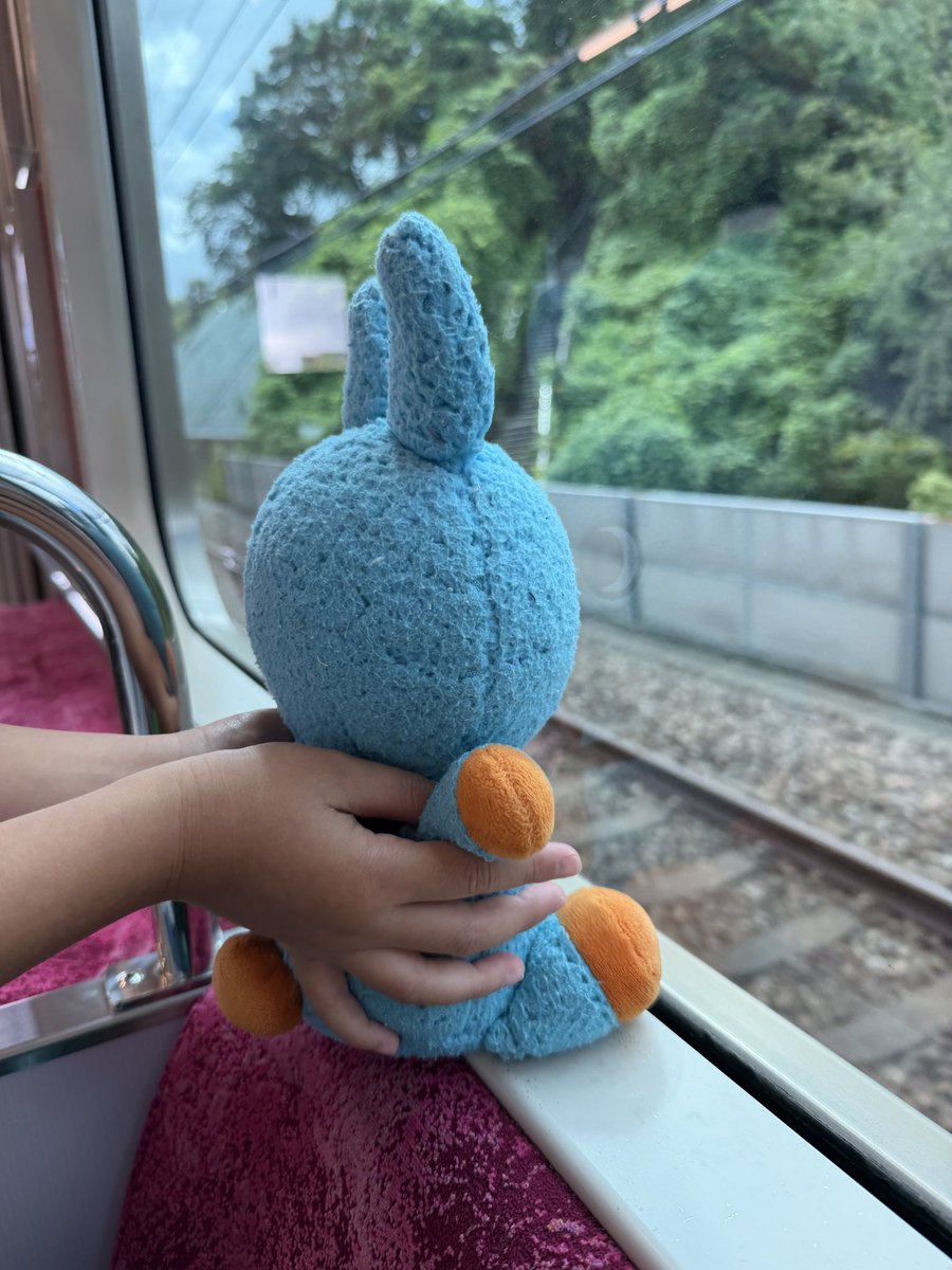 fungera_mongera's tweet photo. 行くもこ！
もころんもけもけもこね！！！ https://t.co/LCqluIrnDG