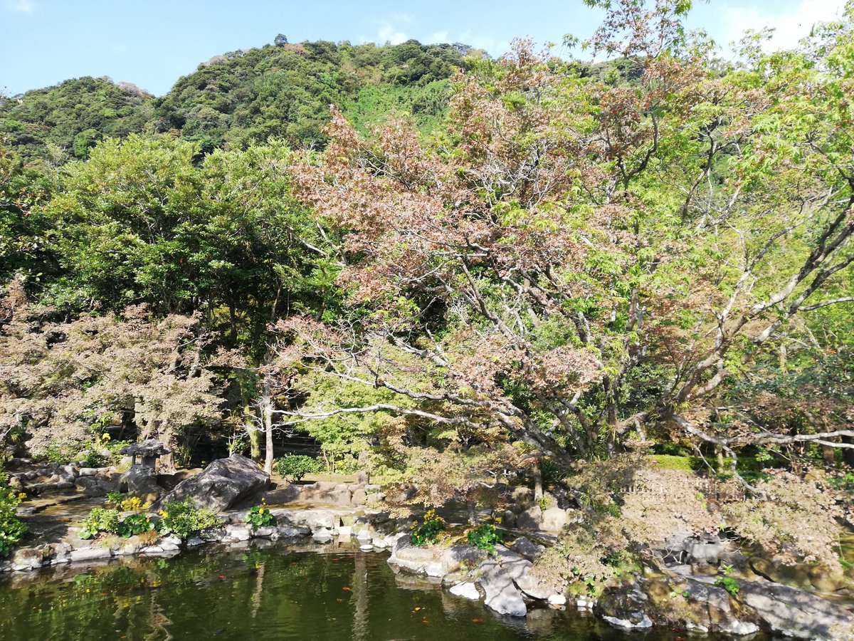 Hikari640's tweet photo. 旅の思い出｜鹿児島県鹿児島市

高校の修学旅行にて、仙厳園を訪れました
仙厳園は江戸時代に建てられた、薩摩藩島津家の別邸です
当時は仙厳園が何なのか、そもそも仙厳園という名前すら知らないまま園内をまわっていました
2025年にJR仙厳園駅が開業し、鉄道でのアクセスが容易になりました https://t.co/oEs2KG22p5