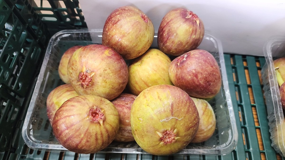 OKAMURA_Farm's tweet photo. 8/15　9:40
本日の生いちじくは完売致しました。
加工用、ドライいちじく、いちじく飲む酢はまだ販売しておりますので、宜しくお願い致します。
#岡村農園
#いちじく https://t.co/MZFmwGXNkk
