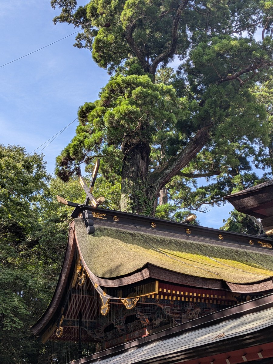 minomiya812053's tweet photo. 2026.8.15(土)
鹿島神宮へ⛩️
参拝致しました🙏

※本日は集ストの強化日か🤔
神社の最寄り駅から神社境内にかけて、集ストが最低でも7人👿湧いてきました🫪

④は御手洗池の湧水です💧
浄化させていただきました🌈 https://t.co/dwv59FiDku