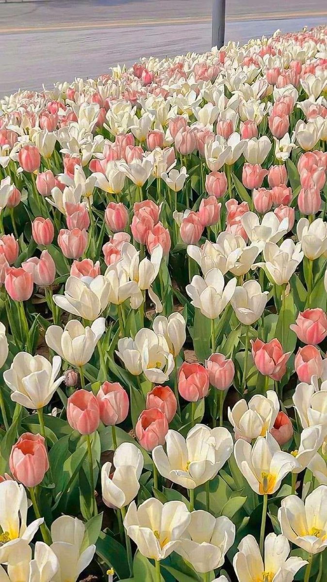 aestheticspost_ tweet picture