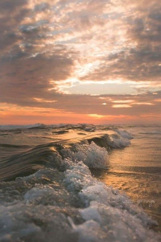 aestheticspost_'s tweet photo. The sound of the waves. https://t.co/hYMtqBIswz