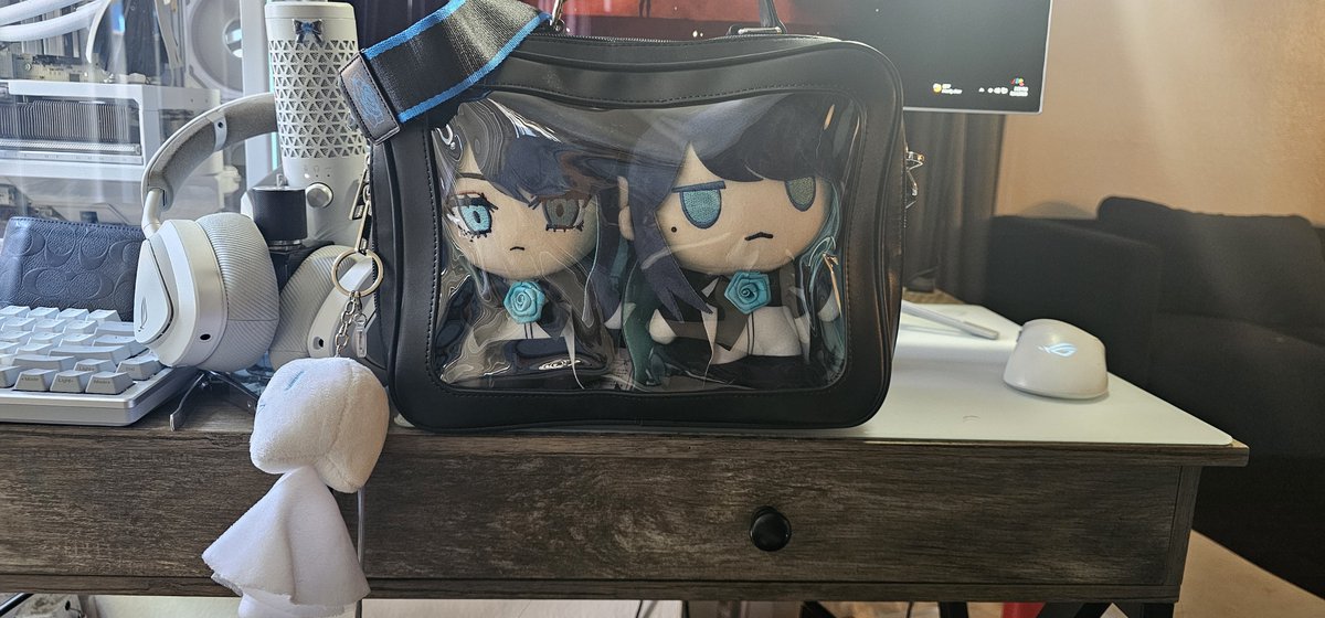 Its__Beans's tweet photo. Ado bag came in https://t.co/IwSyO9xv1Z