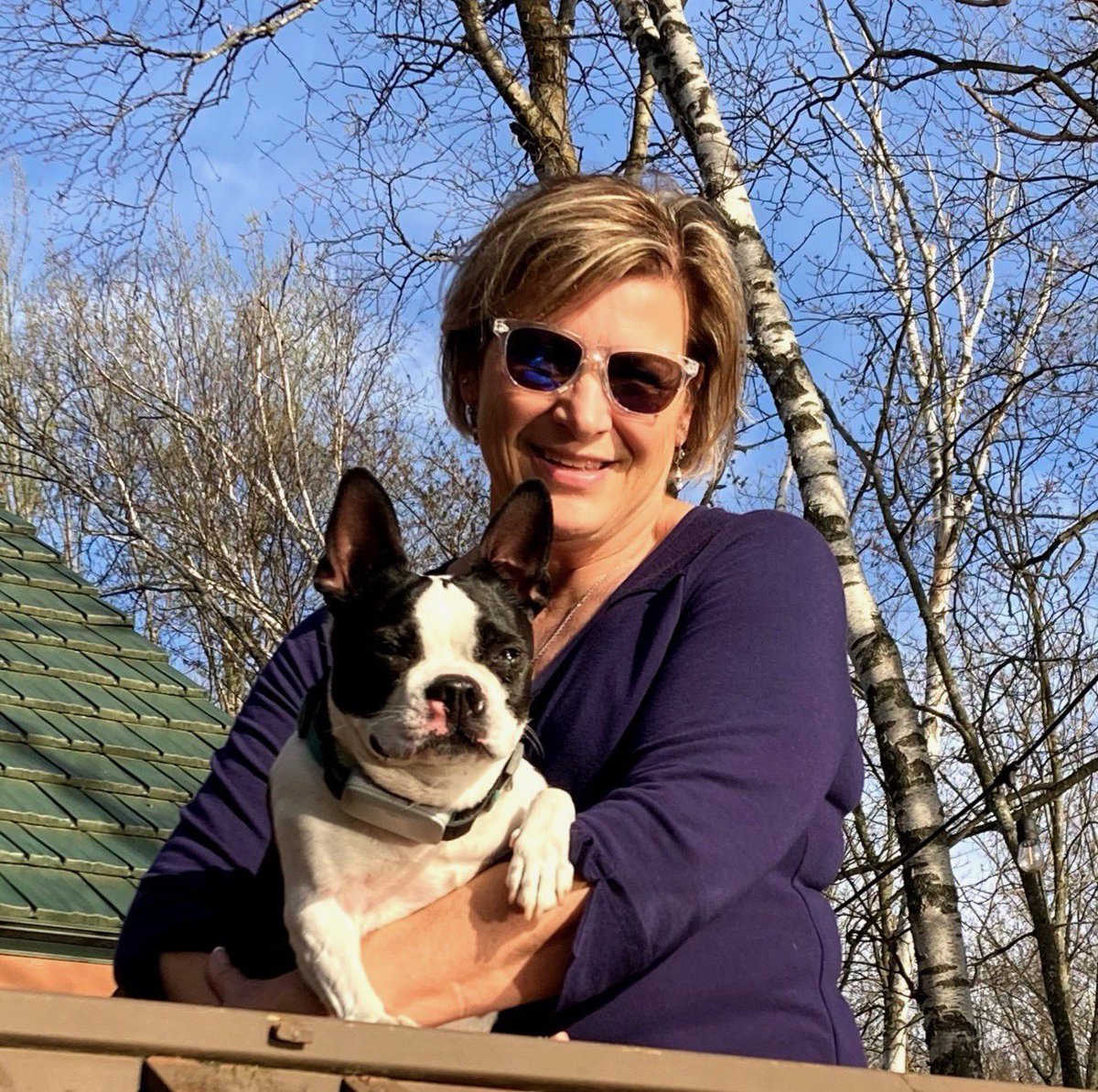 TeamMikeRogers's tweet photo. Weโve still got more! Hereโs Marilyn & Stella - from Novi! #DogsForMike ๐พ๐บ๐ธ https://t.co/qOKEKGAefi