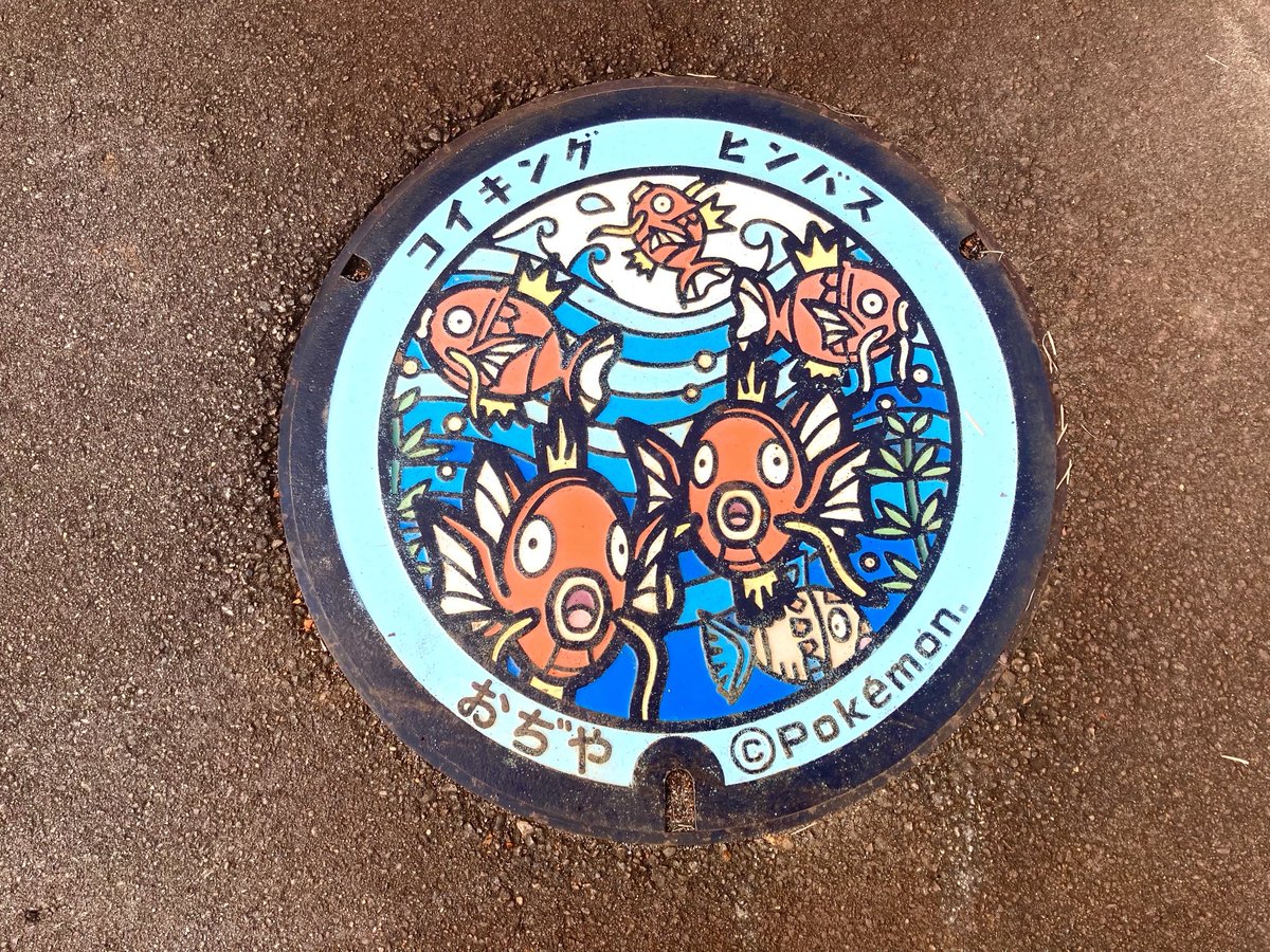 sei_cyg's tweet photo. 新潟県のポケふたは設置場所がかたまってて巡りやすかった😊 https://t.co/2M0r0xzvUF
