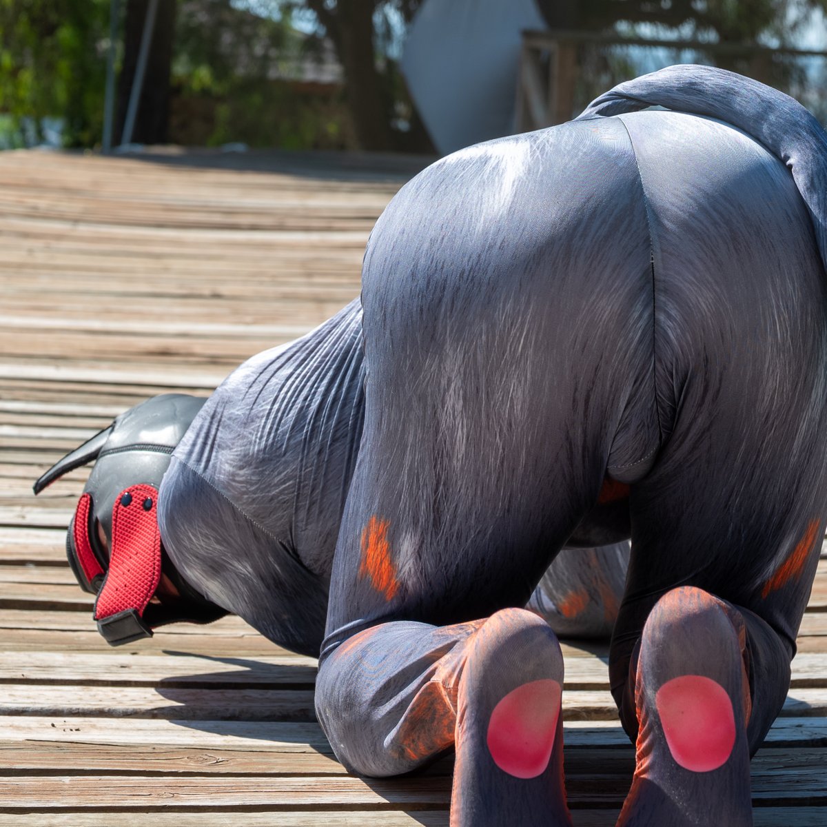 Spandexman8's tweet photo. Ass up high on all fours on the deck, shiny flame zentai stretched tight over my ass and tail, red & black devil hood down π
This cocky pup is presenting and ready to get mounted
#PupPlay #Zentai #Spandex #DevilPup #AssUp #PoolKink #Spandexman https://t.co/cpkpXuXh3B