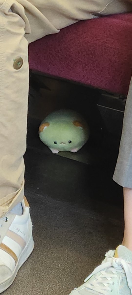 rusiedo's tweet photo. 電車の座席の下に忘れられたぬいぐるみがｗ https://t.co/lGpg2I2eBo