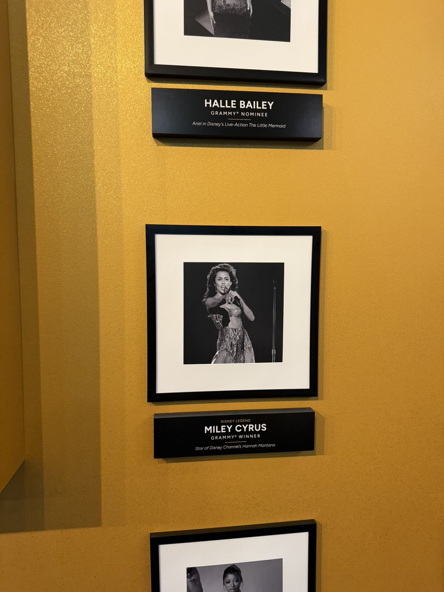 Woow_Lucas's tweet photo. the Grammy wall here at @DisneyD23 ⭐️ @MileyCyrus https://t.co/QiDvYb44pZ