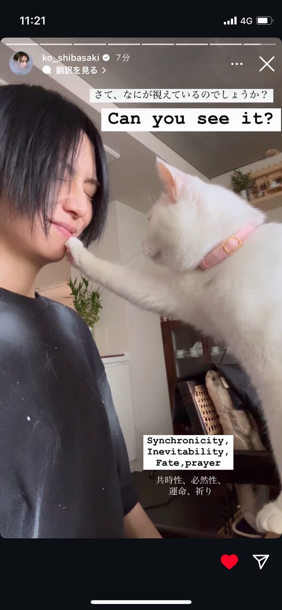 Yumigon__'s tweet photo. タイトルで察したよね、、
コウちゃん辛かったろうな泣
わたしたちファンにもたくさんの愛をありがとう、のえる。
コウちゃんと熊本の縁を繋いでくれてありがとう。
暖かい日向で喉を鳴らして、いつかまた会えるその日まで、コウちゃんを待っていてね(^^)

我が家の２匹も、さらに大切に生きよう。 https://t.co/mJBw5SZfkn
