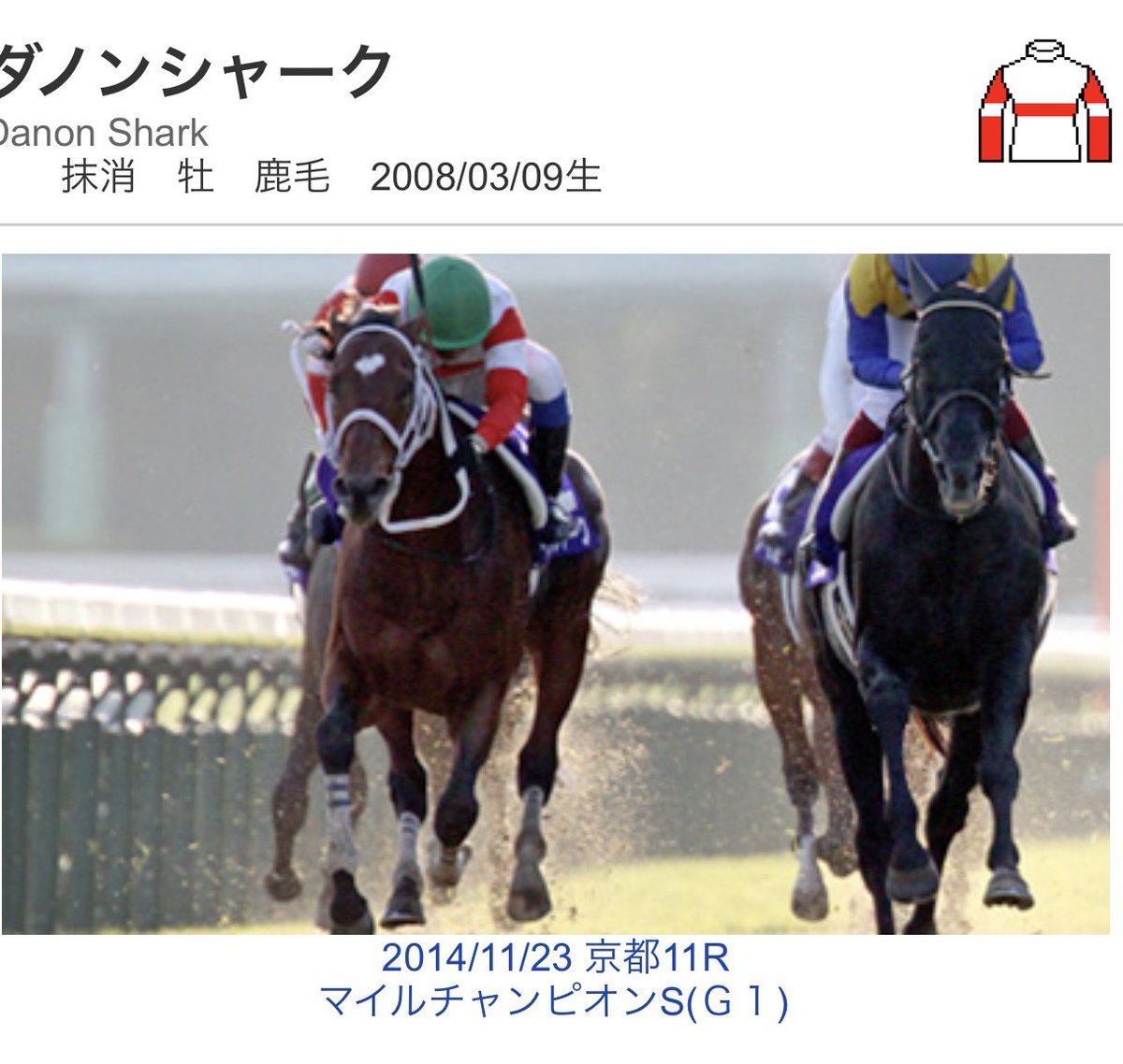 競馬　ゼッケン　ダノンシャーク　G1馬　14'マイルCS(G1) 競馬 ゼッケン ダノンシャーク G1馬 14'マイルCS(G1) ダノンシャーク