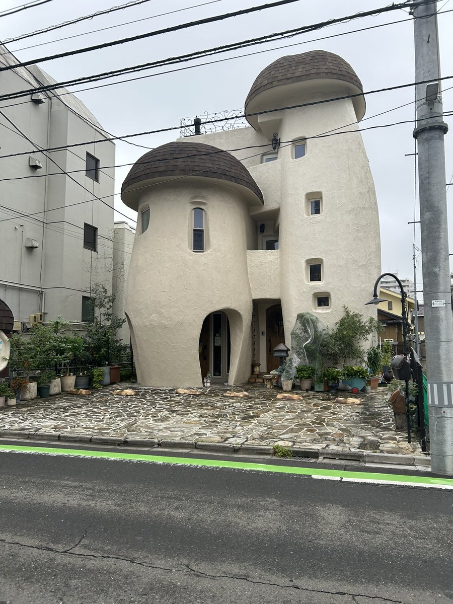 animal_35's tweet photo. エバースの卵の聖地巡礼しにいきました！
●宿や萩
モジャさんがいい方でした
●妖精の家
残念ながらお休みでした
●駄菓子屋よしぎの
店長さん｢町田が佐々木の様子を常に伺ってて関係性が現れてた｣
弟、妹さんもお話してくださりました！
● ポムの樹ララガーデン長町店
めっちゃ美味しかったです https://t.co/KthI2dXYJ9