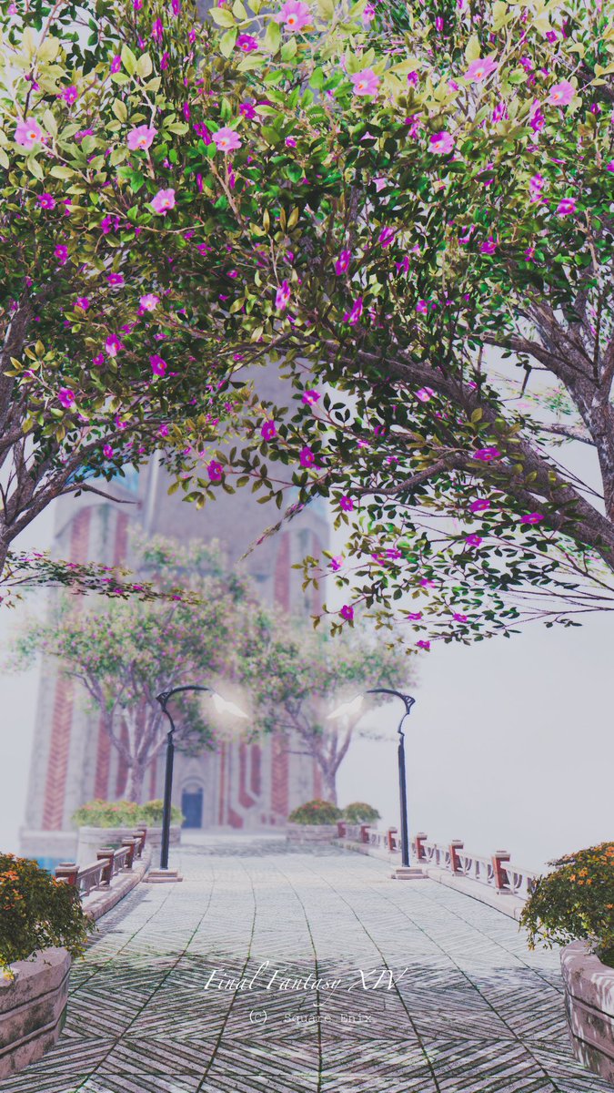 scenerySS_FF14's tweet photo. The end of the beginning...,

#FF14
#FF14風景 https://t.co/ae0ppBUa4v
