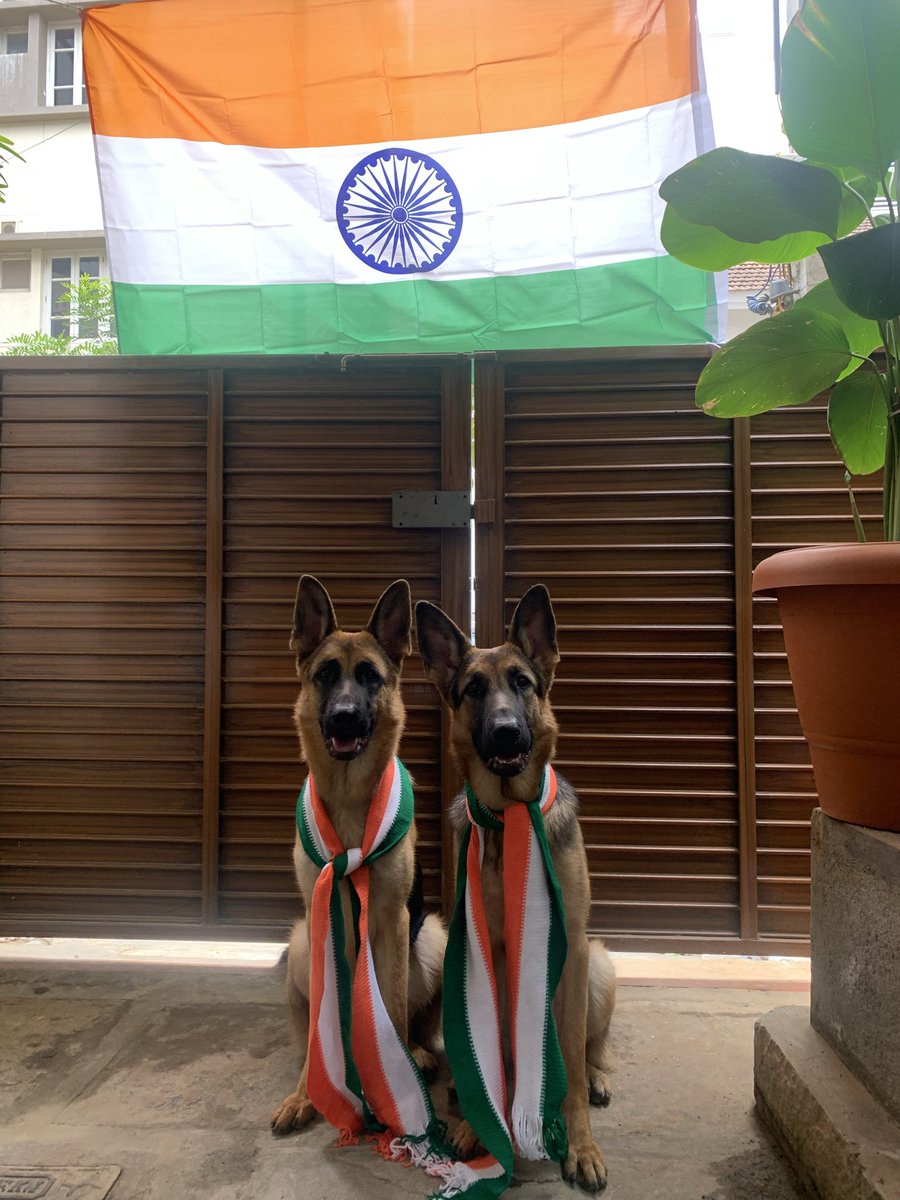 RaSAngelSri's tweet photo. @Mahatria Happy Independence Day! I will make our country proud. Loving You, Mahatria. https://t.co/dU7g3OH6OH
