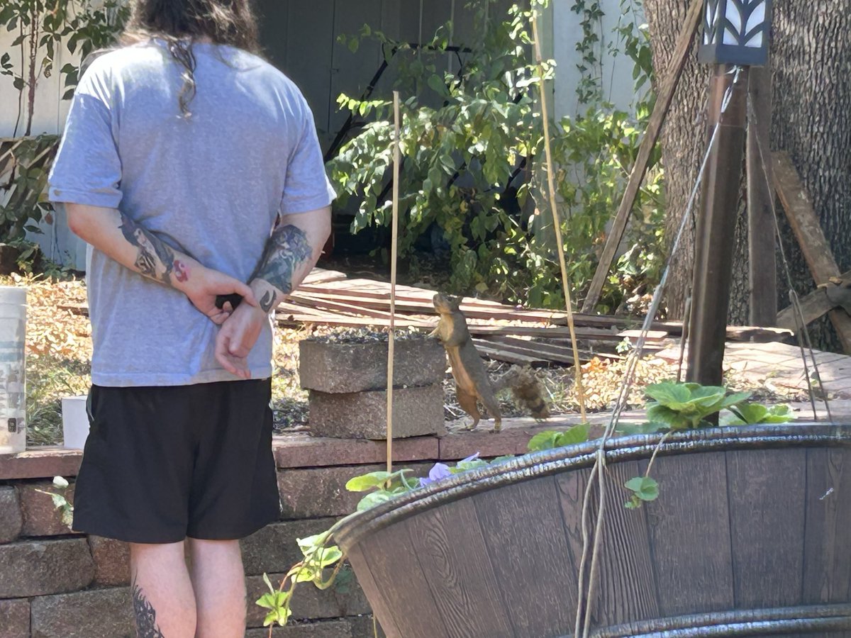 DaphneOverdog's tweet photo. My husband and his little friend https://t.co/6IZfk9Ur2k