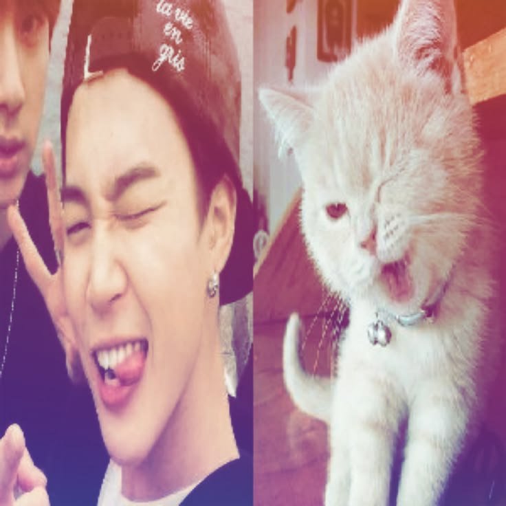 eternalstarsss's tweet photo. holii, regresé a esta cuenta después de 3 años. Busco mutis only army ot7 que apoyen de verdad a los chicos 

-Soy jiminista, 18 años
- en el fandom desde 2019
- 🇵🇦
- interactuo con confianza

me dan rt plis ♡ https://t.co/NnORwvaD1Z