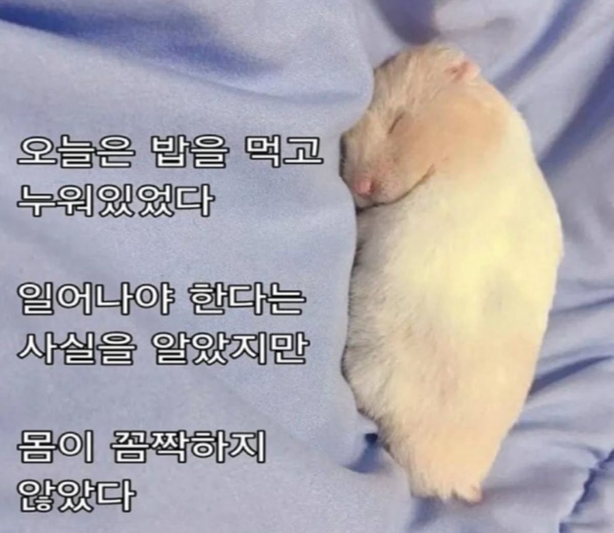 mymemeboxx's tweet photo. 오늘 계획 https://t.co/yWKoR4XmjC